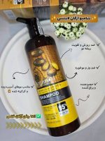 شامپو آرگان لایتنس - تصویر 2